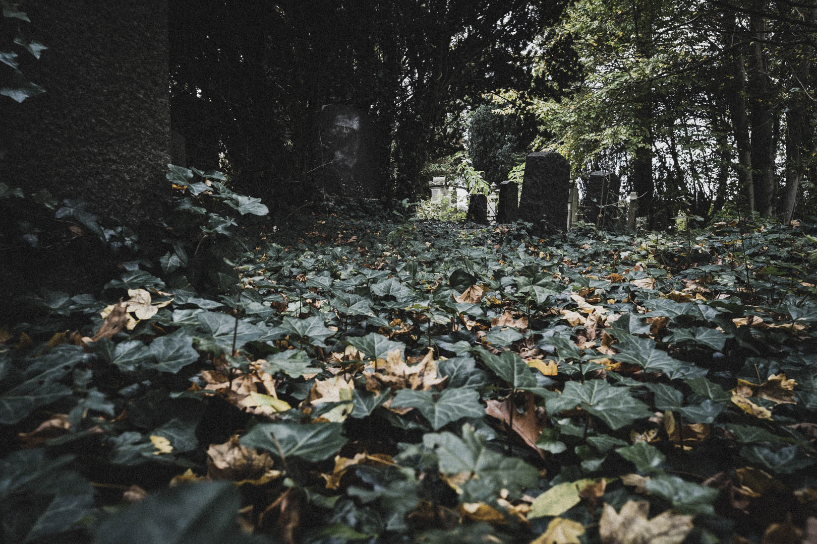 Jever, Jüdischer Friedhof